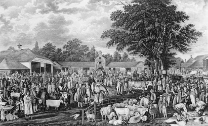Woburn Schafschur, graviert von Thomas Morris, 1811